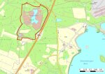 Nsg Hirtlohweiher Bei Schwandorf