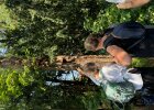 Dienstbesprechung der Naturschutzbehörden der Oberpfalz mit Exkursion in den Alleen-Gürten der Stadt Regensburg