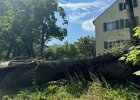 Dienstbesprechung der Naturschutzbehörden der Oberpfalz mit Exkursion in den Alleen-Gürten der Stadt Regensburg