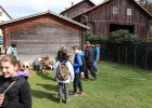 Auch die weiteren Tiere, wie hier die Ziegen, begeistern die Kinder.