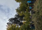 Exkursion Kreuzotter im Hessenreuther Forst