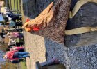 Ein Stoffhuhn sitzt im Vordergrund auf einem Holzpfosten, im Hintergrund steht eine Kindergruppe auf dem Bauernhof.